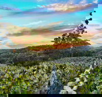 Between the Vines Cellar Door - Getaway Accommodation