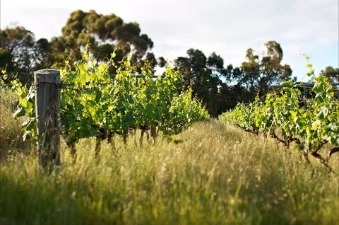 Happs Winery And Pottery - Getaway Accommodation 0