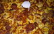 Pizza Riviera - thumb 0