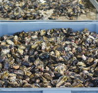 Lease 65 - Getaway Accommodation