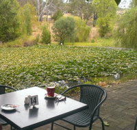 Avocados - Getaway Accommodation