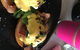 Benesse Bunbury - thumb 2