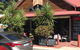 The Coffee Hut - thumb 1