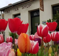 Tiny Tea Shop - Getaway Accommodation