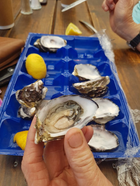 Beachcomber - Getaway Accommodation 6