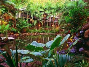 Daintree Eco Lodge & Spa - Getaway Accommodation 0