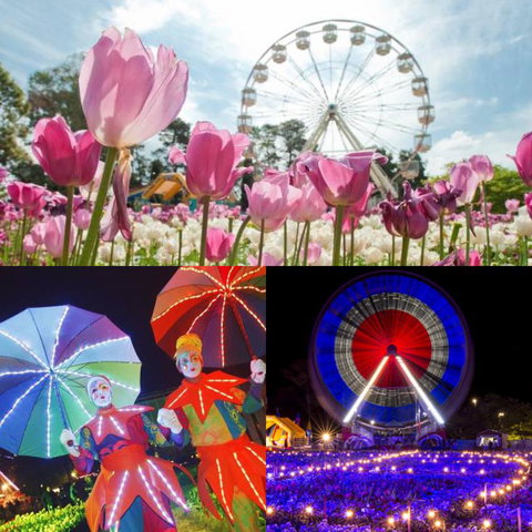 Modern Executive Apt@Barton*1BR*WiFi*Gym*Secure Parking*Canberra - Getaway Accommodation 28