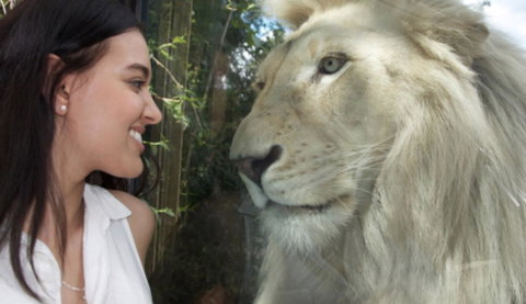 Modern Executive Apt@Barton*1BR*WiFi*Gym*Secure Parking*Canberra - Getaway Accommodation 30