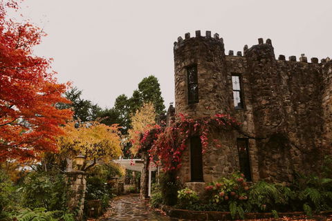 The Manor Basket Range - Getaway Accommodation 15