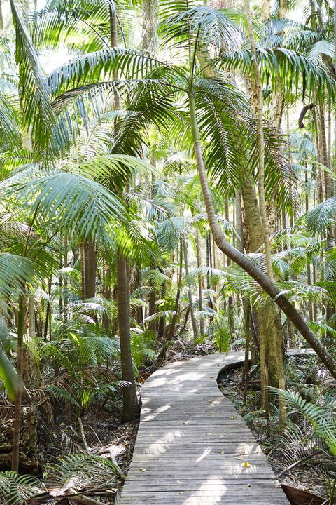 Crystalbrook Byron - Getaway Accommodation 26