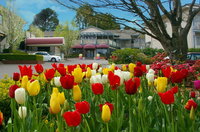 Book Leura Accommodation Vacations Getaway Accommodation Getaway Accommodation