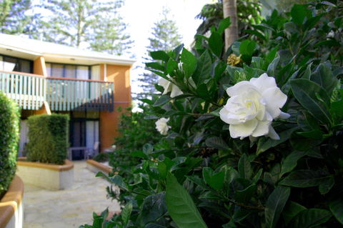 The Crest Byron Bay - Getaway Accommodation 29