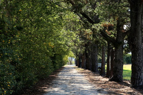 Terara Riverside Retreat - Getaway Accommodation 26