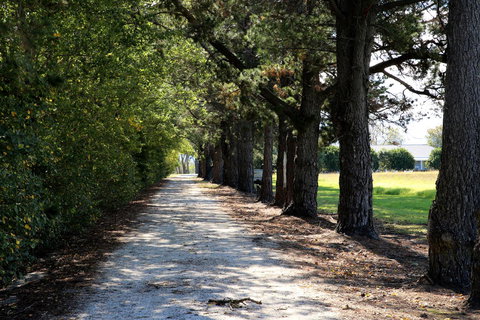 Terara Riverside Retreat - Getaway Accommodation 30