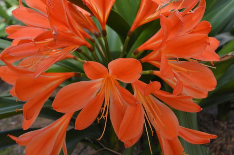 JE Guesthouse, Central To All The Hunter Valley Has To Offer - Getaway Accommodation 39