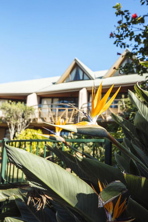 Beach Hotel Resort - Getaway Accommodation 36