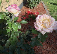 Central Tranquility - Getaway Accommodation