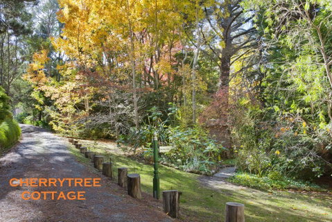Crafers Cottages - Getaway Accommodation 1