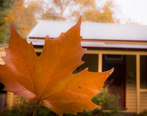 Creek Cottage - Getaway Accommodation 3