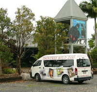 Daintree Wild Bed  Breakfast - Getaway Accommodation