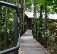 Daintree Wilderness Lodge - Getaway Accommodation