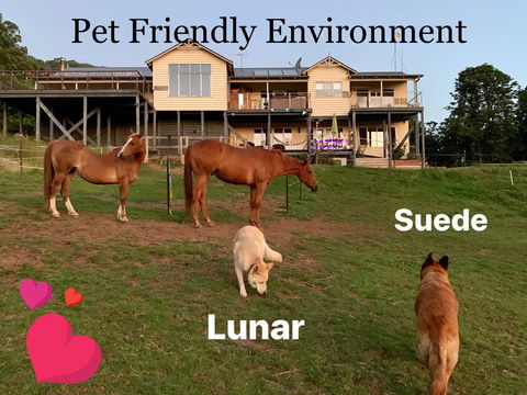 Heavenly Retreat B&B - Getaway Accommodation 1