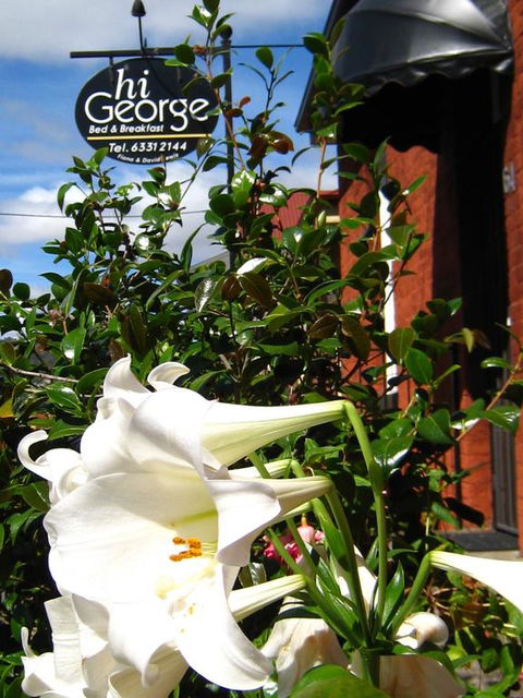 Hi George B&B - Getaway Accommodation 1