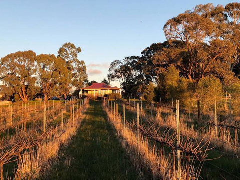Lillicur Vineyard B&B - Getaway Accommodation 0