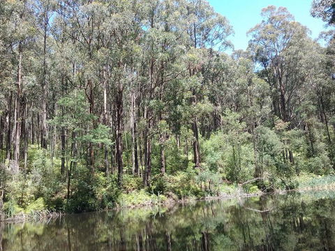 Lyrebird Gully Retreat - Getaway Accommodation 2