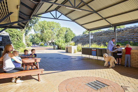 Discovery Parks - Woodman Point - Getaway Accommodation 32