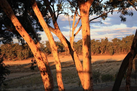 Hotham Ridge Estate - Getaway Accommodation 30