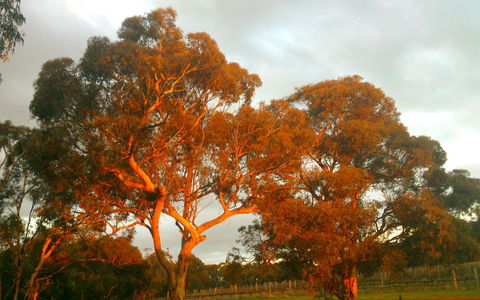 Hotham Ridge Estate - Getaway Accommodation 35