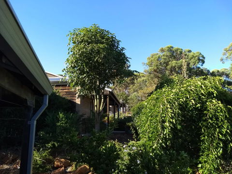 Hotham Ridge Estate - Getaway Accommodation 5