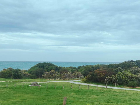 ODYSSEY APOLLO BAY - Getaway Accommodation 2
