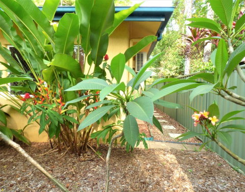Rainforest Cottage Cairns - Getaway Accommodation 0