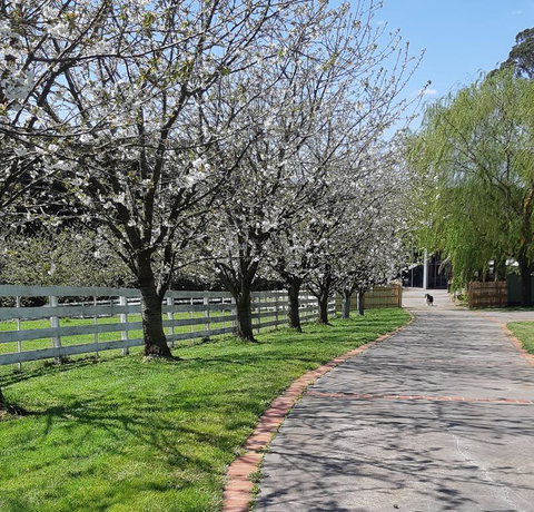 Ray's Farm - Getaway Accommodation 1