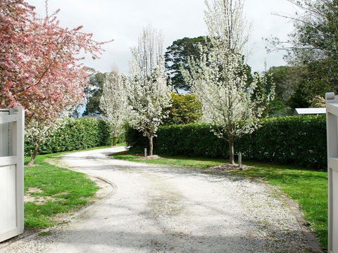 Robin Hill Manor - Rambling Retreat & Tennis Court - Getaway Accommodation 0