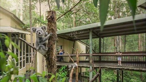 Springwood Meditation Centre - Getaway Accommodation 0