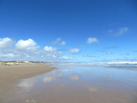 Arthur Riverfront And Sea Lodge Downstream - Getaway Accommodation 24