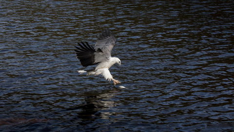 Arthur Riverfront And Sea Lodge Downstream - Getaway Accommodation 38