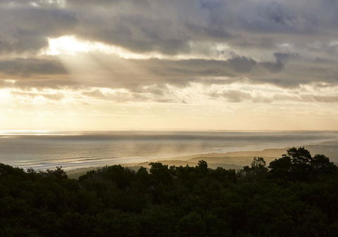 RACV Cape Schanck Resort - Getaway Accommodation 6