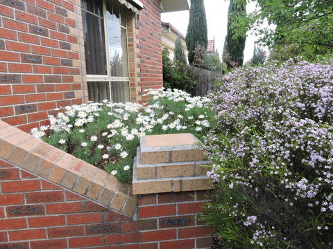 Monash And Chadstone WiFi - Getaway Accommodation 3