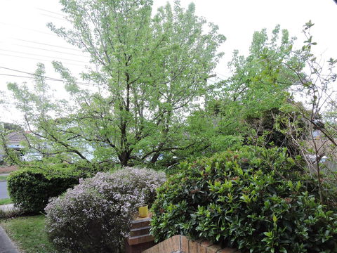 Monash And Chadstone WiFi - Getaway Accommodation 4