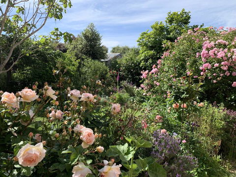 The Racecourse Inn - Getaway Accommodation 2