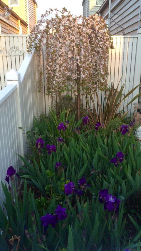 Redruth Cottage - Getaway Accommodation 24