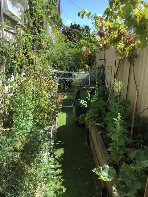Redruth Cottage - Getaway Accommodation 7