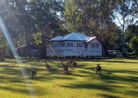 Book Peregian Beach Accommodation Vacations Getaway Accommodation Getaway Accommodation