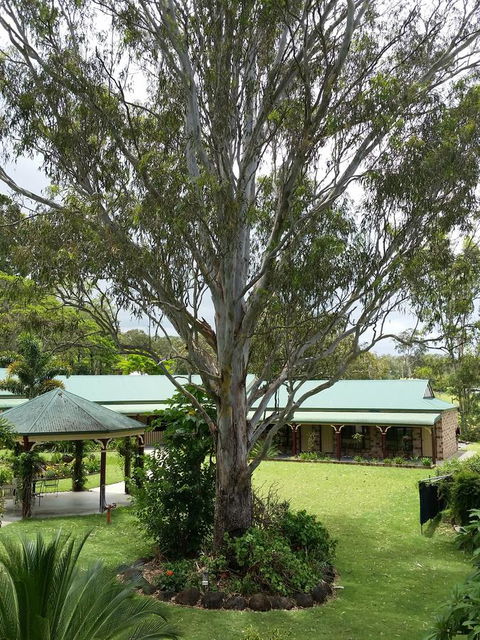 The Bearded Dragon Boutique Hotel - Getaway Accommodation 32