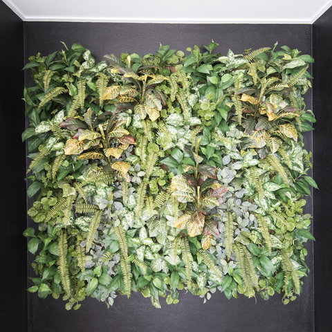 Riviera Mackay - Getaway Accommodation 22