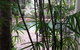 Jackies Holiday Apartment - thumb 13